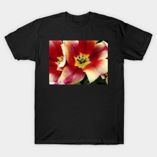 A heart of gold T-Shirt